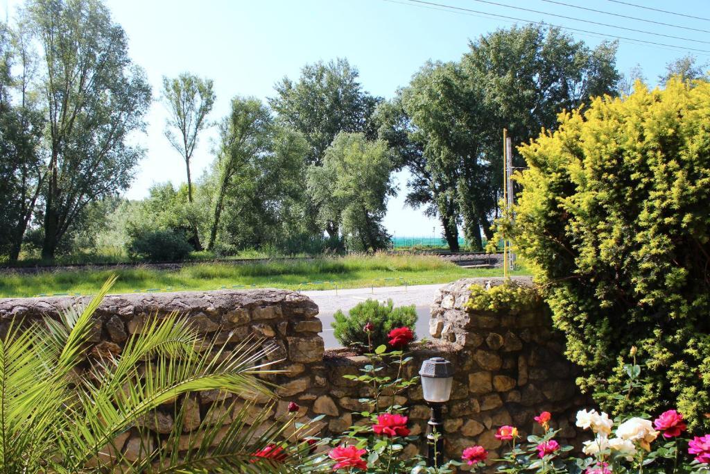 Steinhaus Bed & Breakfast Кестхей Экстерьер фото